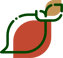 Mango Branding_icon standalone-1